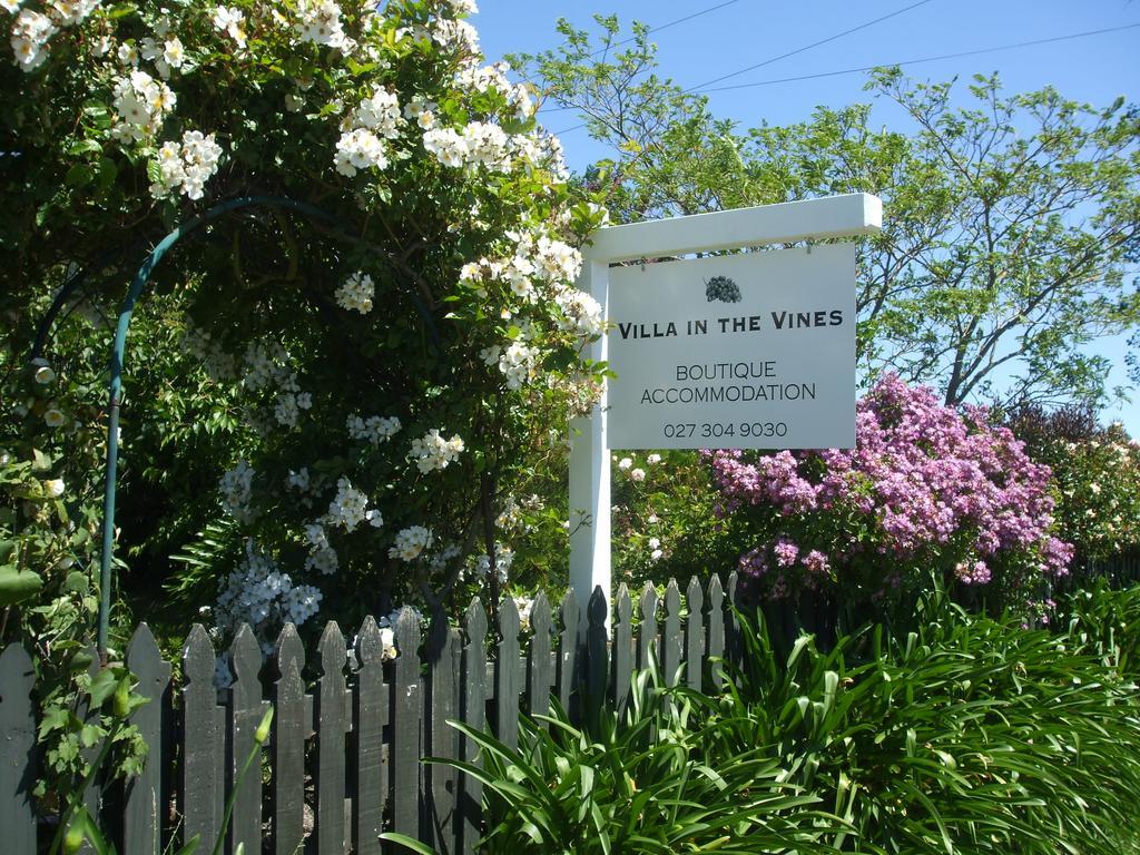 Villa In The Vines Martinborough Exterior foto